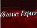 Bosna Expres radio
