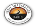 Indie Imagination Radio