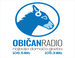 Običan radio