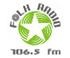 Folk radio