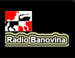 Radio Banovina