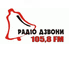 Radio Dzvony