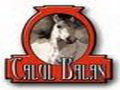 Restaurant Calul Balan