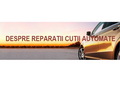 Reparatii cutii viteze Atomatic Gearbox