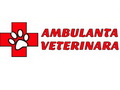 Servicii Veterinare de Urgenta