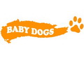 Baby Dogs Dresaj