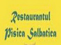 Restaurant Pisica Salbatica