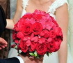 Floraria Cora