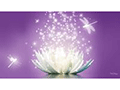 Clinica medicala Global Healthy Life