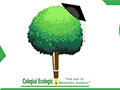 Colegiul Ecologic Pitesti