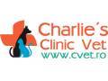 Charlie's Clinic Vet