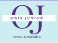 Cursuri copii Onix Junior