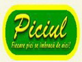 Magazinul Piciul