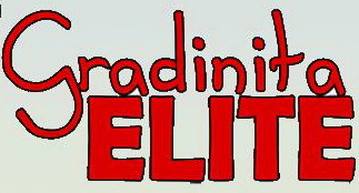 Gradinita Elite