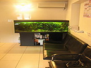 Ambulanta Veterinara Pro Medica