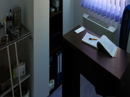 Certificat medical prenuptial