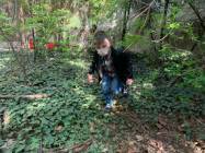 Gradinita si Afterschool in lb germana Kinderlache...