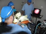 Cursuri tehnician Veterinar For People Bucuresti