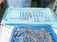 Chirurgie canina Bucuresti