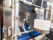 Clinica veterinara Dr Bercaru