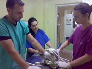 Cabinet veterinar Vet4pet