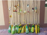 Scoala de vara Drumul Taberei