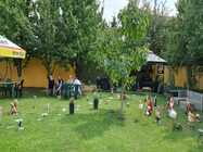 ingrijire batrani pipera