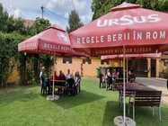 ingrijire batrani pipera