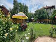 ingrijire batrani pipera