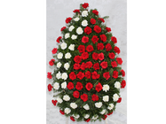 Servcii funerare dani impex Bucuresti