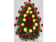 Dani Impex Servicii Funerare