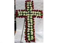 Dani Impex Servicii Funerare