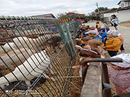 gradinita kids palace