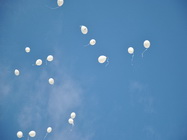 Scoala privata Kids Palace