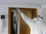 3 Deratizare completa