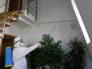 3 Deratizare completa