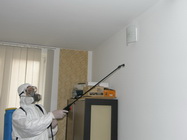 3 Deratizare completa