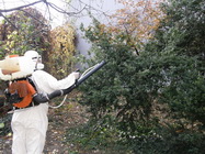 3 Deratizare completa