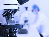 Analize muscatura capusa