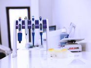 Laborator Analize Borrelia Centrum