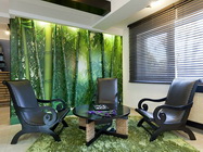 Remodelare corporala Pipera