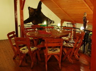 Restaurant Delea Noua 