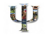 Aviz psihologic scoala de soferi pret