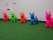 The World Of Fun & Joy Petreceri Copii