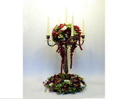 Holland Flower Trading