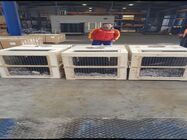 Transport animale cargo