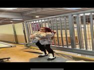 Transport animale cargo