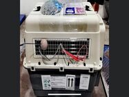 Transport animale cargo