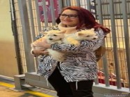 Transport animale cargo