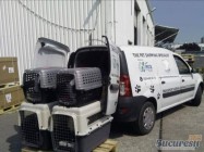 Transport animale cargo